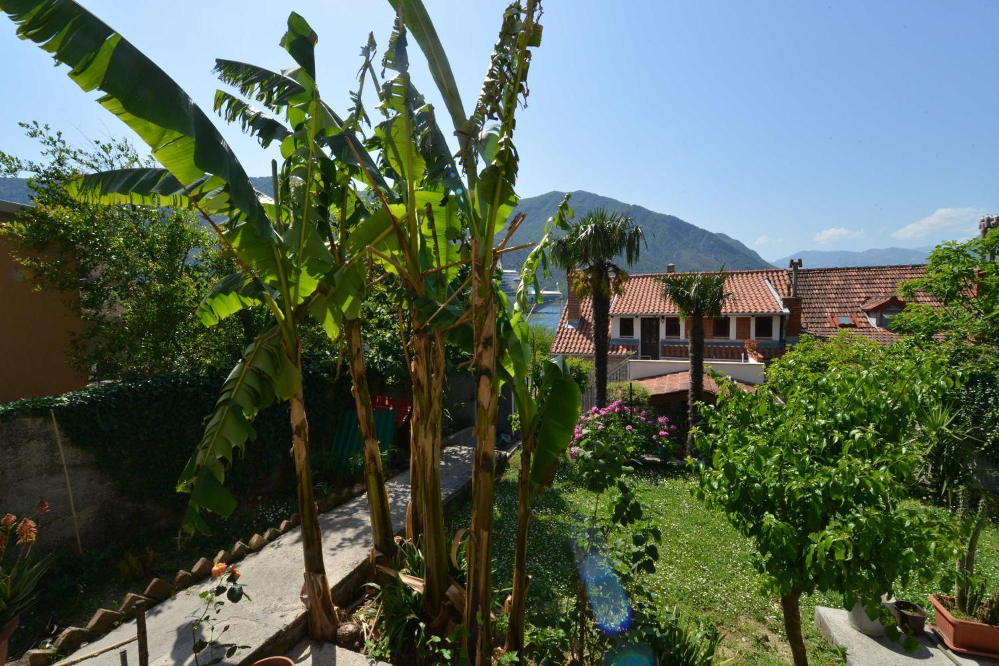 Apartments Popovic 2 Kotor Ruang foto