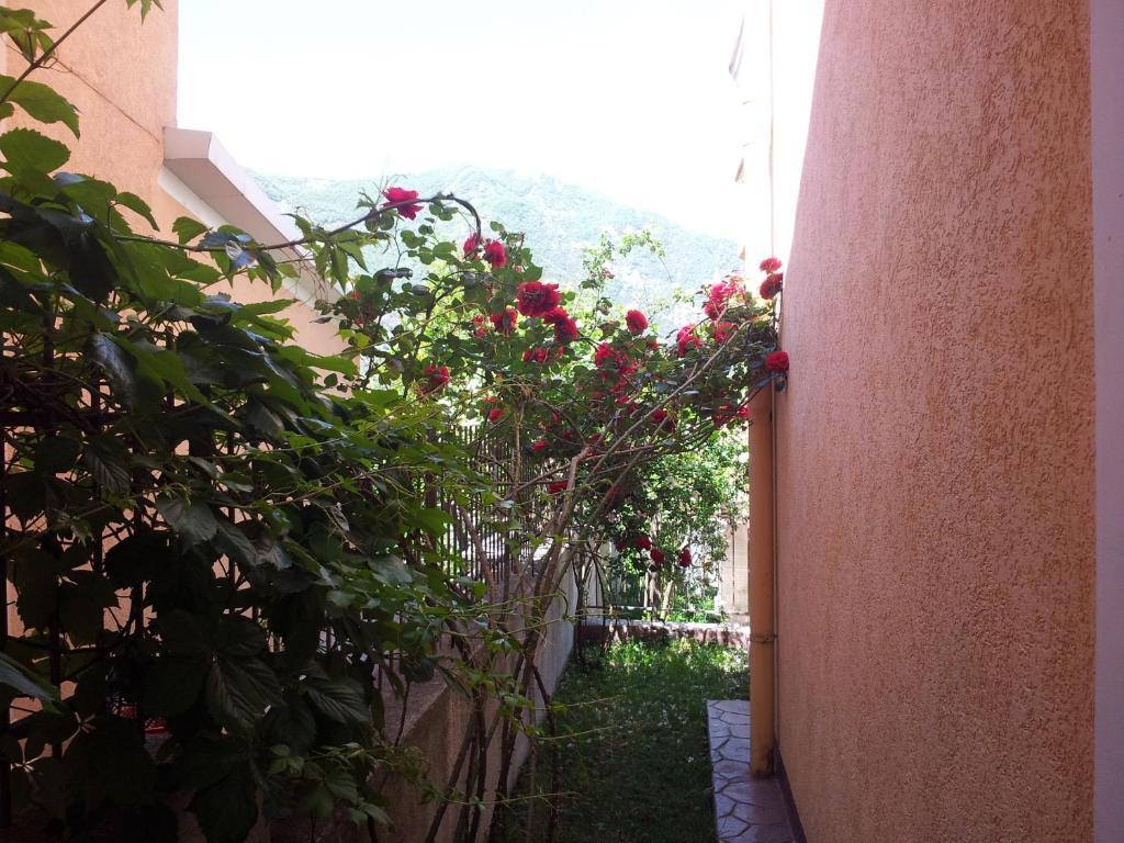 Apartments Popovic 2 Kotor Bagian luar foto